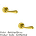 2 PACK Concealed Door Handle Set Polished Brass Lever On Round Rose Rotund End 1