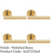 4 PACK Premium Concealed Door Handle Set Polished Brass Straight On Round Rose 1