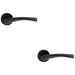 2 PACK PAIR Twisted Angular Design Handle On Round Rose Concealed Fix Matt Black