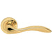 Premium Scroll Door Handle Set - Polished Brass Elegant Lever On Round Rose