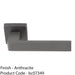 Contemporary Flat Door Handle Set - Anthracite Grey Sleek Lever On Square Rose 1