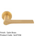 Contemporary Flat Door Handle Set - Satin Brass Sleek Lever On Round Rose 1