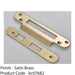 Door Frame Forend Strike and Fixing Pack - for Sashlocks - Satin Brass RADIUS 1