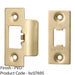 Forend Strike and Fixing Pack - for HEAVY DUTY Tubular Latch - Brass PVD SQUARE 1