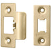 Forend Strike and Fixing Pack - for HEAVY DUTY Tubular Latch - Brass PVD SQUARE