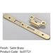 Door Frame Forend Strike & Fixing Pack - DIN Latch - Satin Brass RADIUS 235x24mm 1