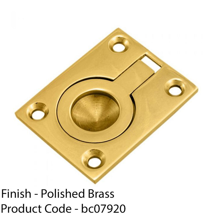Flush Ring Recessed Pull Handle 50 x 38mm 8mm Depth Polished Brass Sliding Door 1