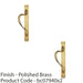 2 PACK Left Handed Door Pull Handle With Dot Pattern 384mm x 43mm Polished Brass 1