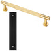 Pull Handle & Contrasting Backplate Set Knurled Round T Bar Satin Brass & Black