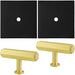 2 PACK Cabinet Door Knob & Contrasting Backplate Hex T Bar Satin Brass & Black
