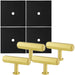 4 PACK Cabinet Door Knob & Contrasting Backplate Hex T Bar Satin Brass & Black