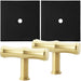 2 PACK Door Knob & Contrasting Backplate Bamboo Pull Satin Brass & Matt Black