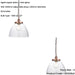 2 PACK Hanging Ceiling Pendant Light - Aged Copper Plate & Clear Glass - 10W LED E27