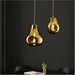 Hanging Ceiling Pendant Light - Gold Metallic Glass & Chrome Plate - 10W LED E27