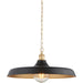 Hanging Ceiling Pendant Light - Matt Black & Satin Gold Paint - 10W LED E27