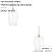 2 PACK Hanging Ceiling Pendant Light - Large Bright Nickel Plate & Clear Glass - 10W LED E27