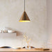 Hanging Ceiling Pendant Light - Warm antique brass plate - 10W LED E27