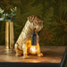 Vintage Gold Pug Puppy Table Lamp - Cute Dog Bedside Dog Table Light - 7W LED E14