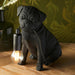 Matt Black Pug Puppy Table Lamp - Cute Dog Bedside Dog Table Light - 7W LED E14