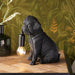 Matt Black Pug Puppy Table Lamp - Cute Dog Bedside Dog Table Light - 7W LED E14