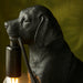 Matt Black Labrador Puppy Table Lamp - Cute Dog Bedside Dog Table Light - 7W LED E14