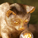 Vintage Gold Kitten Table Lamp - Cute Dog Bedside Cat Table Light - 7W LED E14