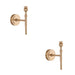 2 PACK Dimmable Wall Light - Brushed aged brass plate - Timeless Straight Arm Scone
