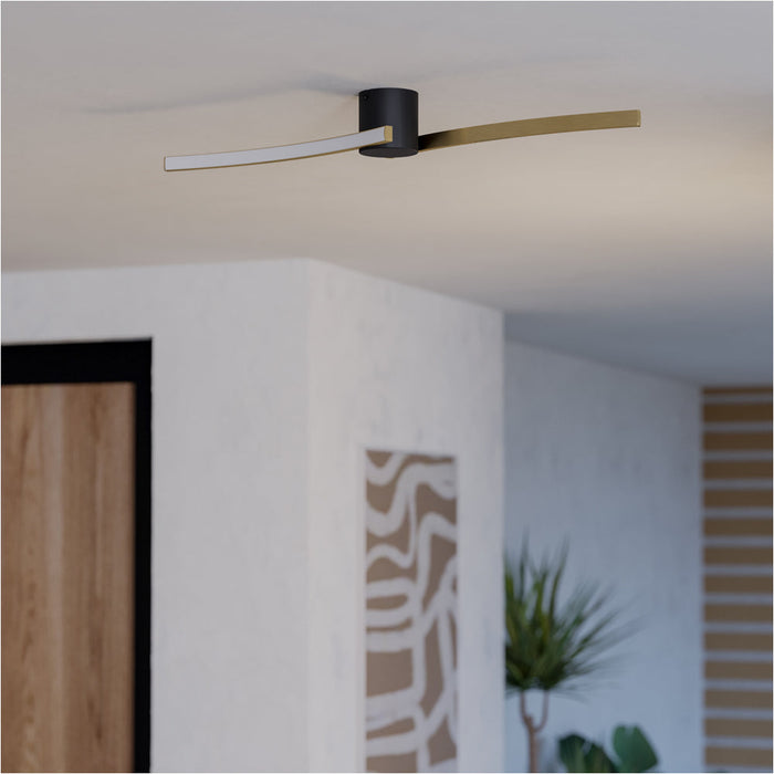 Stylish Modern Black and Brushed Brass Ceiling Light for Indoor Spaces