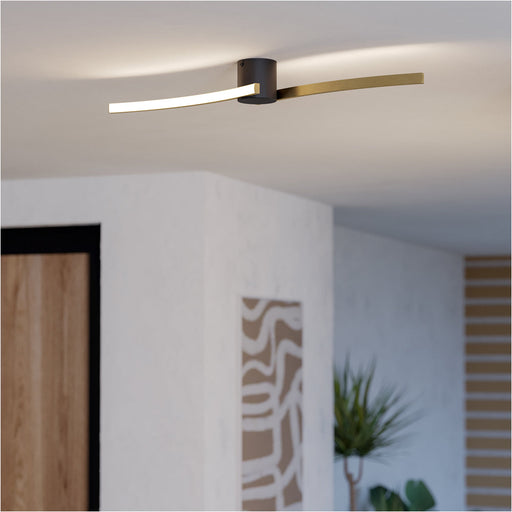Stylish Modern Black and Brushed Brass Ceiling Light for Indoor Spaces
