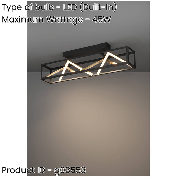 Stylish Modern Black and Gold Ceiling Light for Indoor Spaces