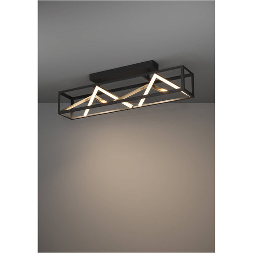 Stylish Modern Black and Gold Ceiling Light for Indoor Spaces