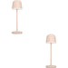 2 PACK Stylish Sandy Finish Table Lamp for Modern Indoor Home Décor