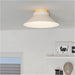 2 PACK Stylish Modern Brown Indoor Ceiling Light Fixture for Elegant Home Decor