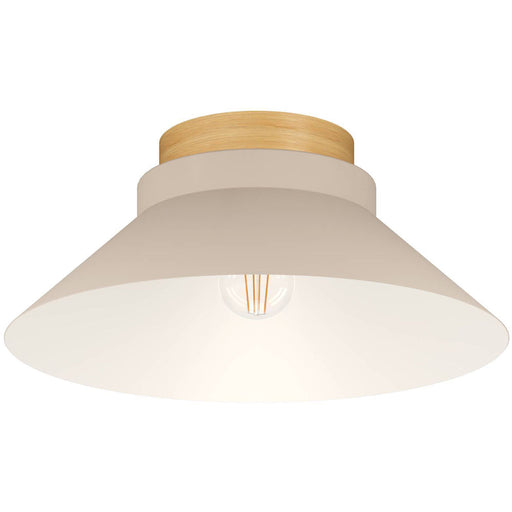 Stylish Modern Brown Indoor Ceiling Light Fixture for Elegant Home Decor