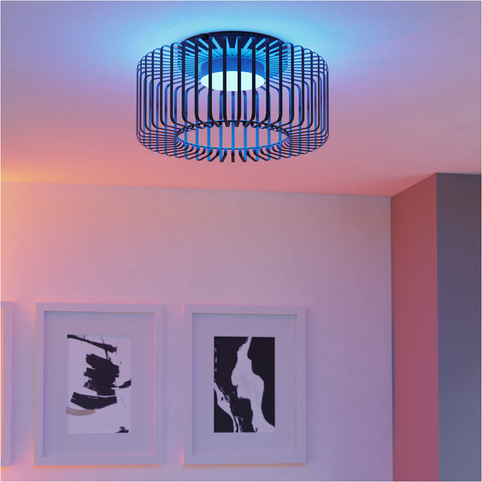 2 PACK Sleek Modern Black Ceiling Light for Indoor Spaces Versatile Home Illumination
