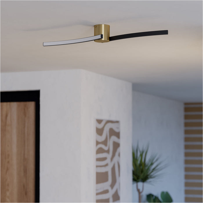 Stylish Modern Brushed Brass and Black Ceiling Light for Indoor Spaces