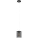 Stylish Modern Black Pendant Light for Indoor Ceilings Perfect Home Illumination