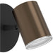 2 PACK Sleek Modern Bronze and Black LED Ceiling Spotlight for Bathroom Lighting