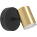 Sleek Black and Brushed Brass LED Ceiling Spotlight for Modern Bathrooms