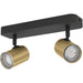 Sleek Modern Black and Brushed Brass LED Bathroom Ceiling Spotlight