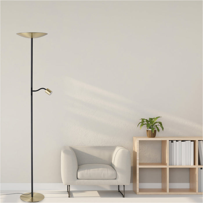 Stylish Modern Brushed Brass and Black LED Floor Lamp for Indoor Spaces