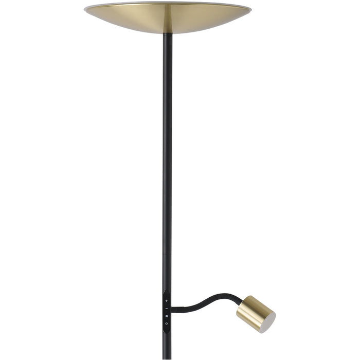 Stylish Modern Brushed Brass and Black LED Floor Lamp for Indoor Spaces