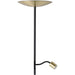 2 PACK Stylish Modern Brushed Brass and Black LED Floor Lamp for Indoor Spaces