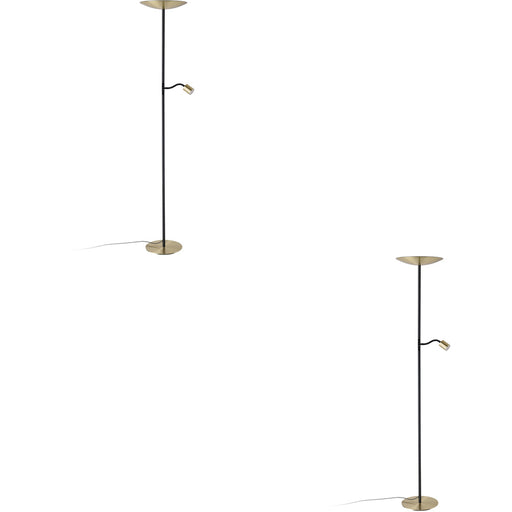 2 PACK Stylish Modern Brushed Brass and Black LED Floor Lamp for Indoor Spaces