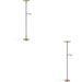 2 PACK Stylish Modern Brushed Brass and Black LED Floor Lamp for Indoor Spaces