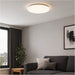 2 PACK Sleek Modern White LED Ceiling Light Fixture for Indoor Bathroom Spaces