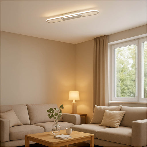 Sleek Modern Chrome Ceiling Light Fixture LED Indoor Lighting for Contemporary Homes