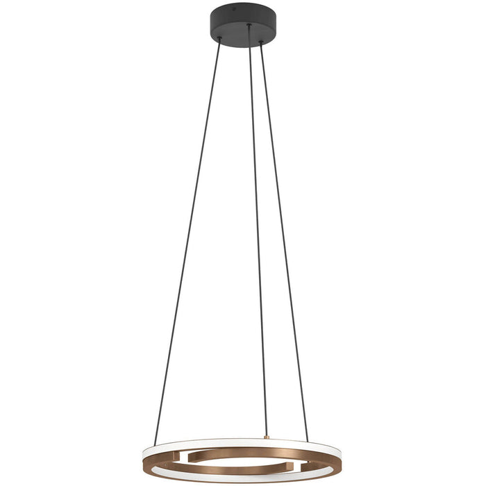 Stylish Modern Design Bronze and Black LED Indoor Pendant Ceiling Light