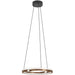 Stylish Modern Design Bronze and Black LED Indoor Pendant Ceiling Light