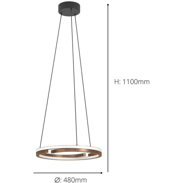 Stylish Modern Design Bronze and Black LED Indoor Pendant Ceiling Light